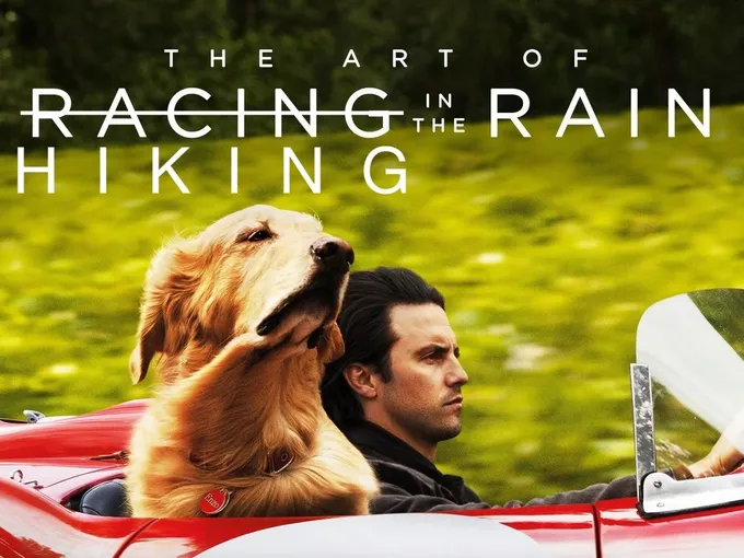 Racing in the rain